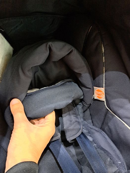 Ovinho bebé recém-nascido