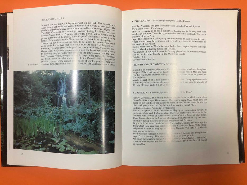 Trees of Monserrate - João Sande de Freitas  Ed. 80 cópias Assinado