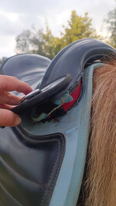 Sela de cavalo para crianças