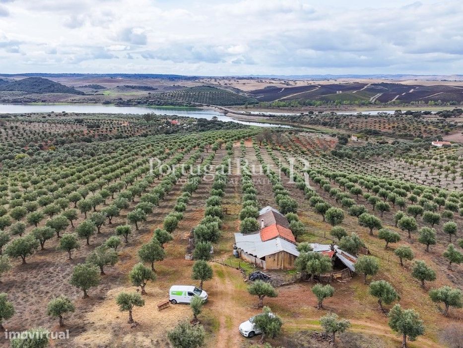 Herdade junto ao Alqueva com 15 hectares com Olival