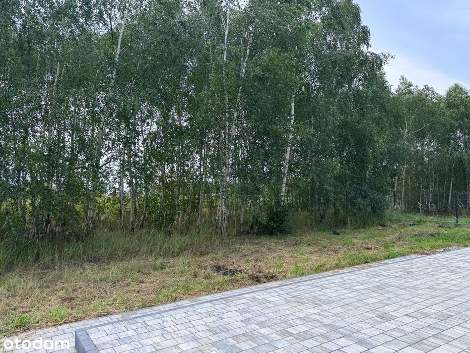 Dom – Oporówek - Widok 5