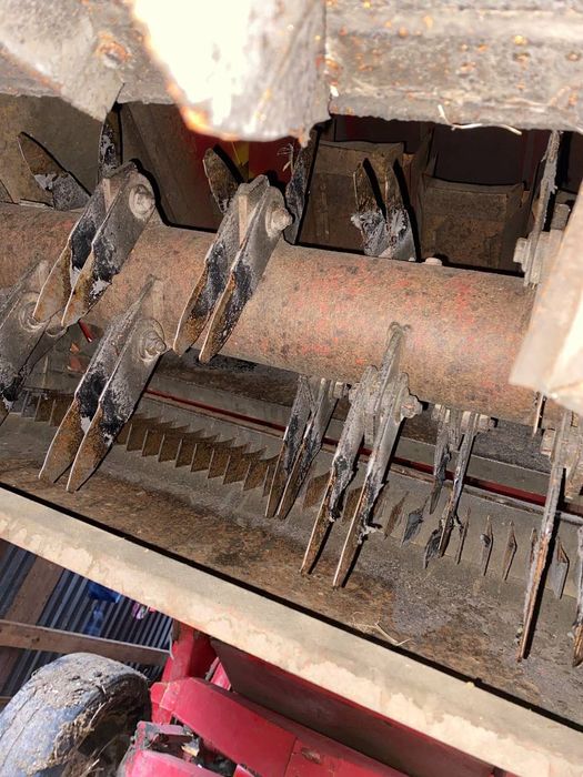 Мойсей фергісон.