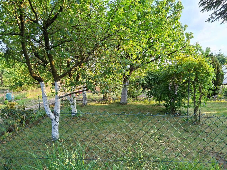 Działka ogrodowa na ROD "FLORA"
