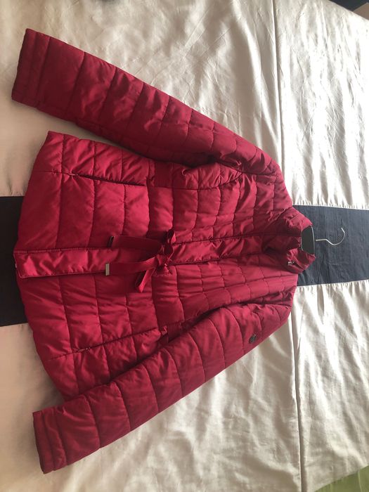 Kispo Lion of Porches! Imperdível