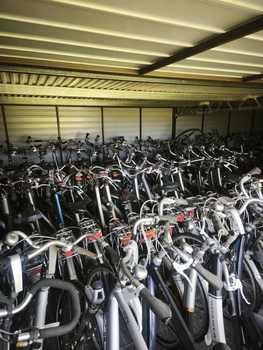Pakiet rowerów ION Sparta Batavus 50 szt