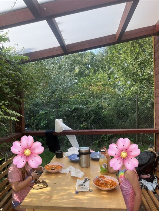 Ogródek działkowy ROD z pięknym drewnianym domkiem