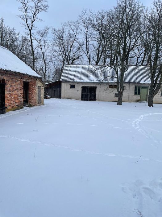 Sprzedam siedlisko 8000m2 dom stodola budynki gospodarcze Wujówka