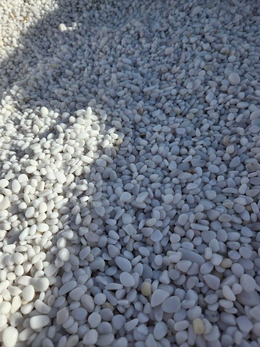 Otoczak White Angel, śnieżno-biały