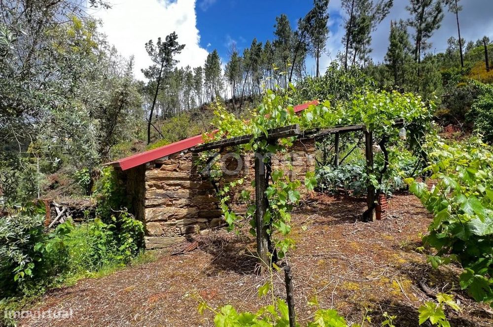 Buildable Land Plots of 680 and 1,630 m² – Pampilhosa da Serra