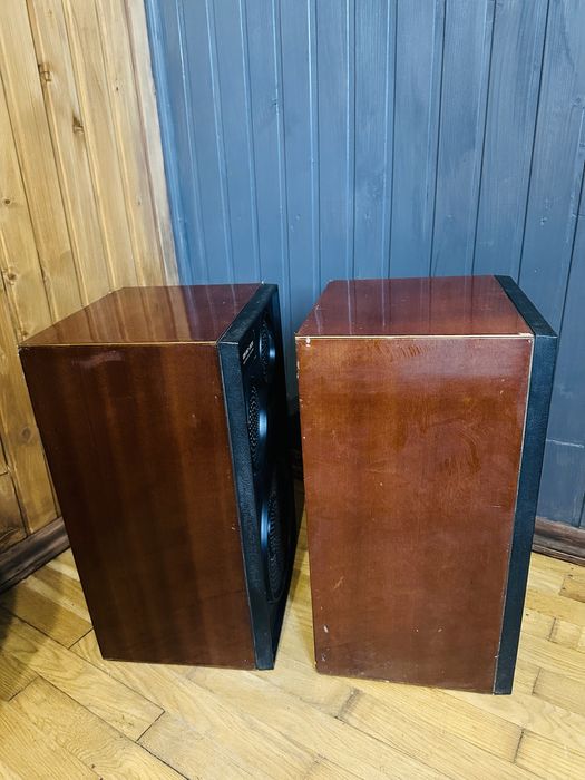 25 АС-309 акустична система