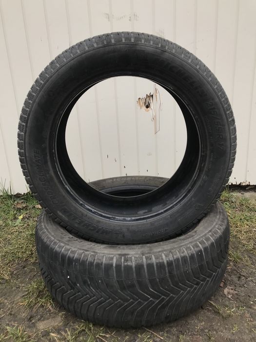 Резина Michelin