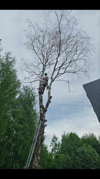 Зрізання дерев | обрізка , стрижка рослин | вантажні перевезення