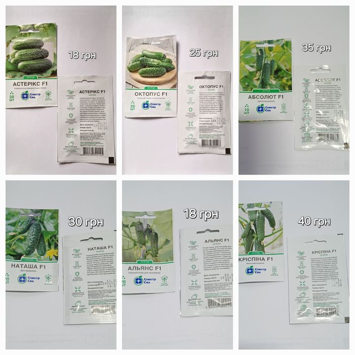 Насіння огірків, самозапильні, партернокарпічні, гібридні, семена огур