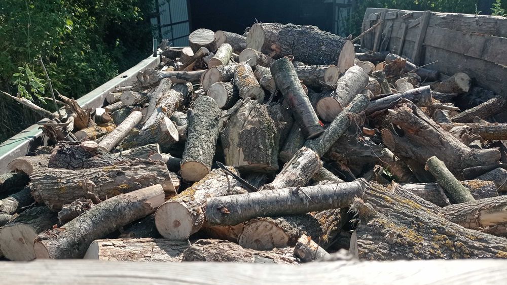 Дрова пиляні /не пиляні твердих порід,від 5 М³