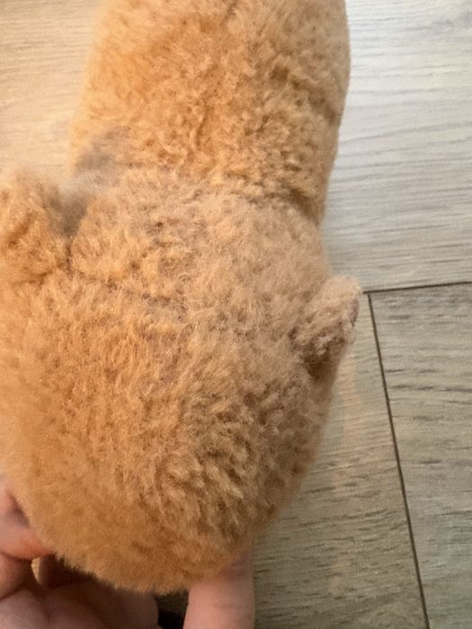 Pluszak kapibara na rękę