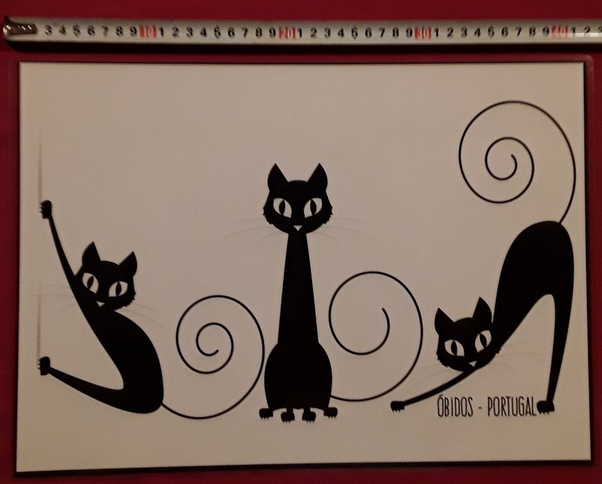 Par de individuais de mesa plastificados, decorados com gatos