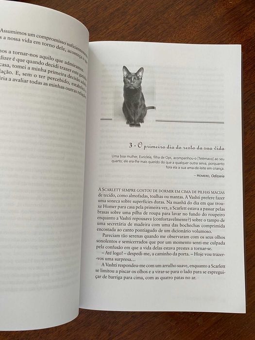 A Odisseia de Homer - Gwen Cooper