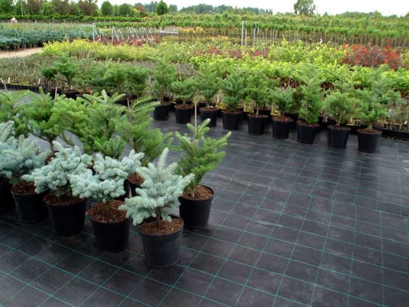 Агротканина чорна 70 г/м². Ширина 0.4м, 0.6м, 0.8м, 1.1м, 1.6м, 3.2м