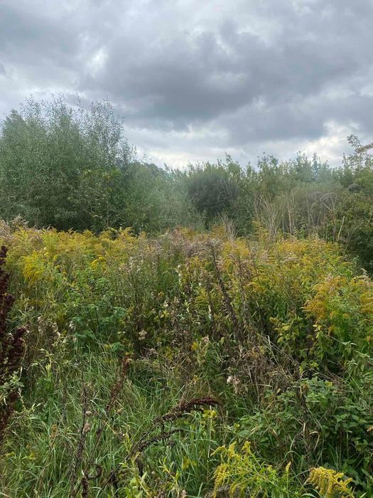 Продам землю в Колоденці 10.5 сот р поруч став