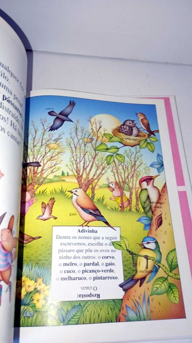 Os Coelhinhos... descobrem o Campo430316878069780482