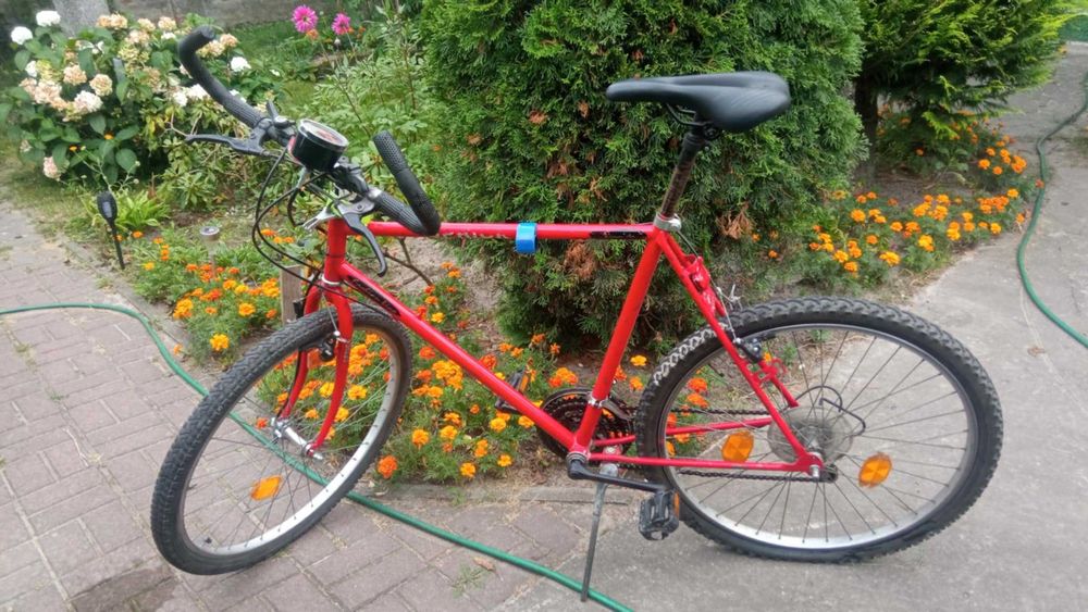 Rower górski MTB - Speed