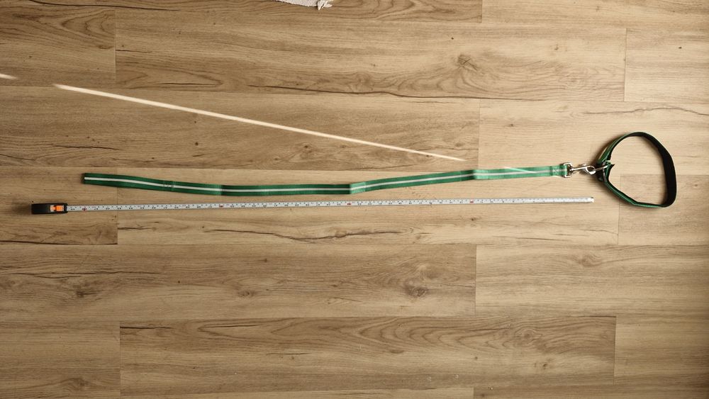 Coleira e Trela Cão