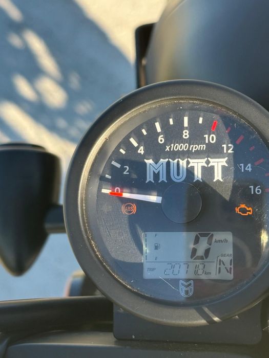 Mutt, como nova, otima oportunidade