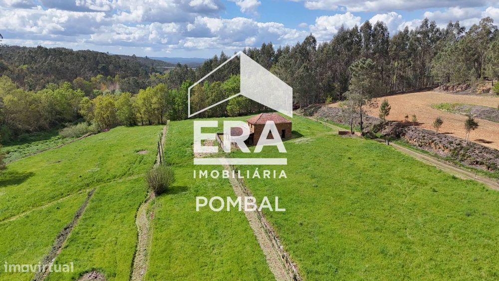 Quinta com 24215m2 de terreno, Tábua