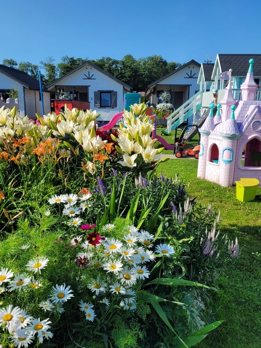 Domki nad morzem.Sarbinowo,Chłopy,basen,jacuz, wakacje 2026.