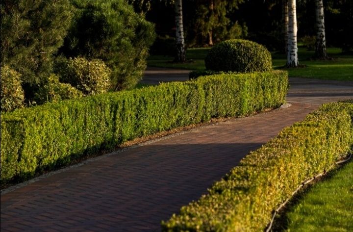 САДОВНИК ;Уход за садом, стрижка, уборка...