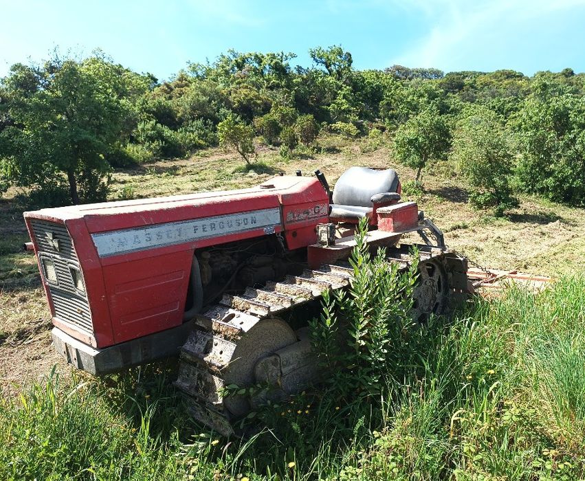 Tractor rastos Massey Ferguson 174C