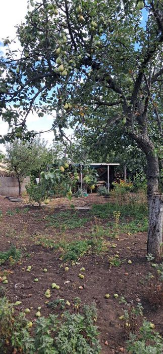 Дом в Светлом старые дачи, 22 улица, 6 соток земли.