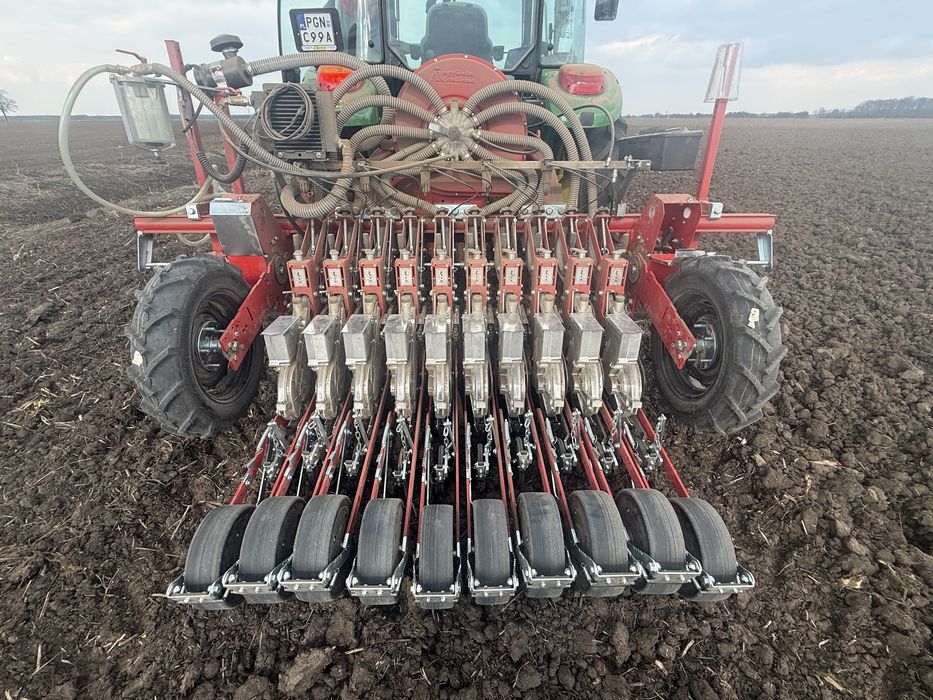 Siew cebuli . Usługowy. Usługa.