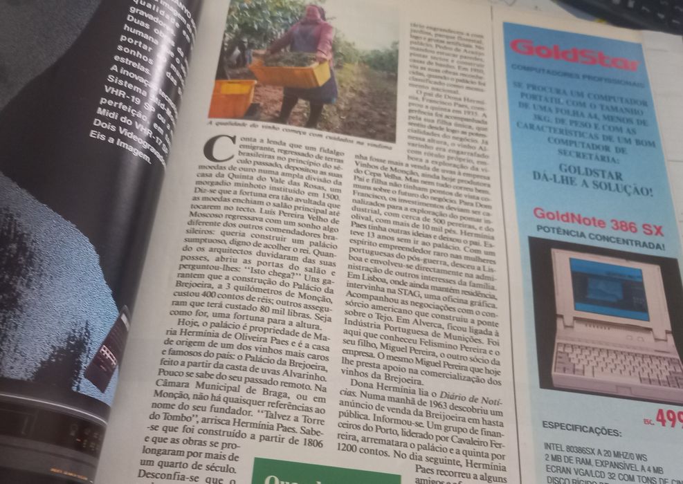 A Brejoeira e o palácio na Exame 1991 a Dama do vinho