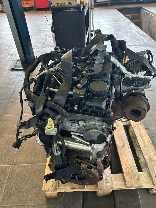 Silnik używany Ford Transit 2016 2.2 euro 5 rwd 155 koni napęd tył