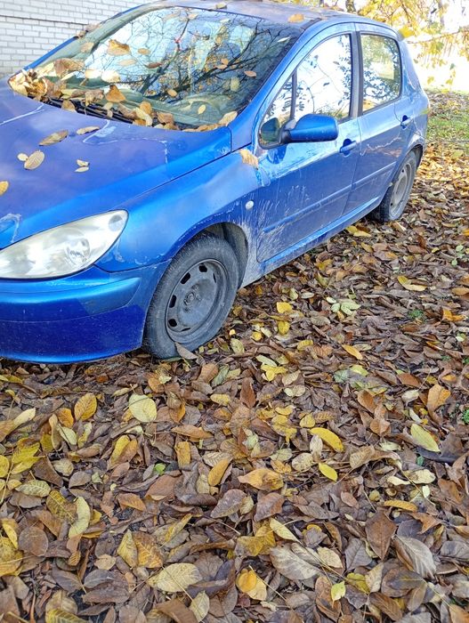 Peugeot 307