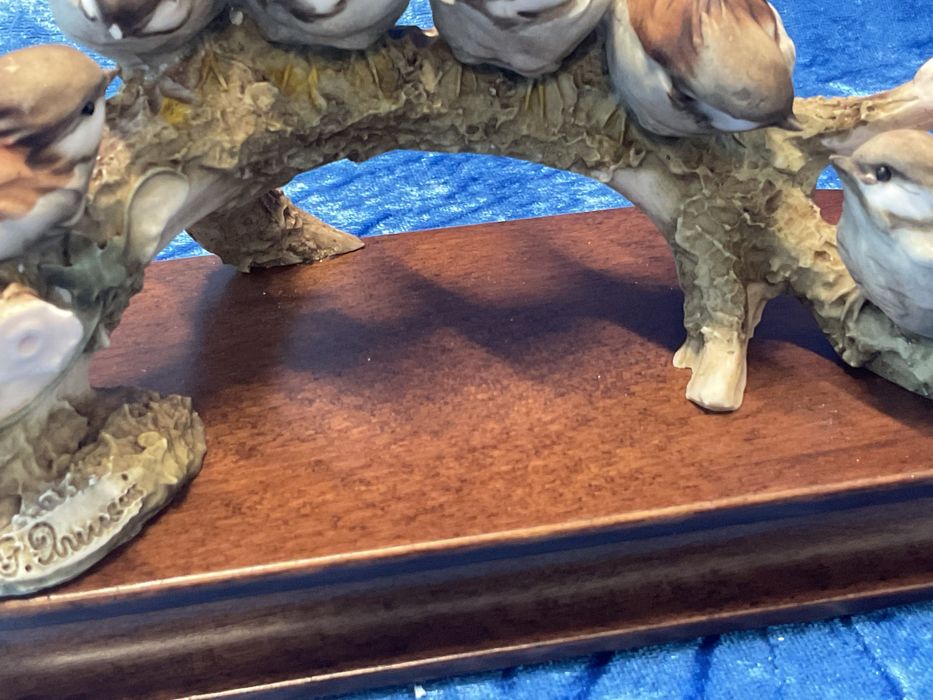 Aves em tronco ,,20 cm longo .