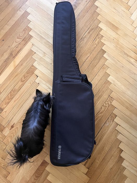 Гітара Yamaha SLG200s