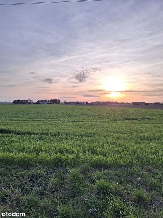 Działka budowlana.