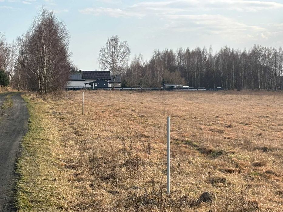 Działka budowlana Jankowice w Gminie Jedlińsk, piękna okolica, MPZP! PILNE! - Widok 3