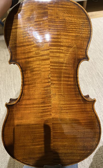 Viola Antonio Wang modelo Verona