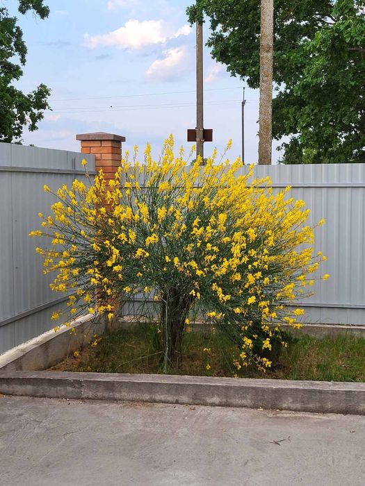 Продаємо добротний будинок селище Молодіжне