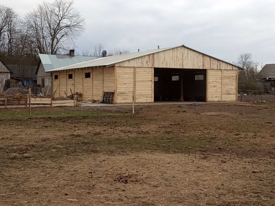 Pensjonat  dla koni blisko Warszawy