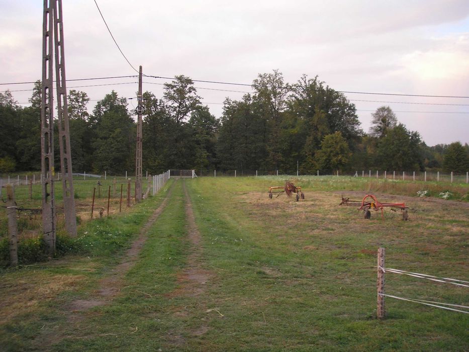Piękne Siedlisko 1,6 ha