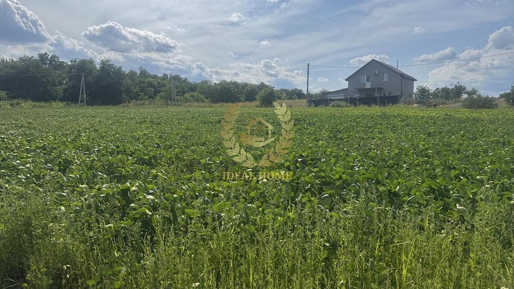 Продам земельну ділянку в Ч. Мотовилівці