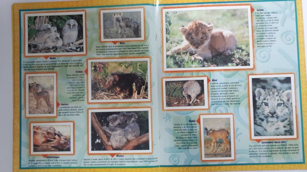 Caderneta de cromos Í Cuccíolí completa