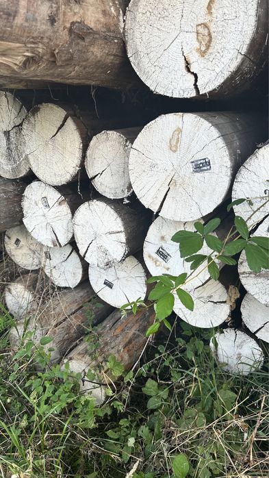 Зруб кругляк сруб