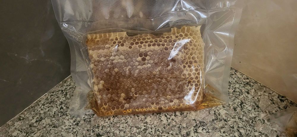favo de mel  de abelha