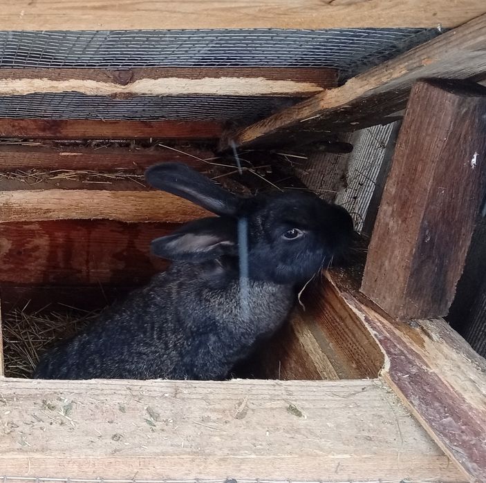 Різного віку,,є малі і великі
