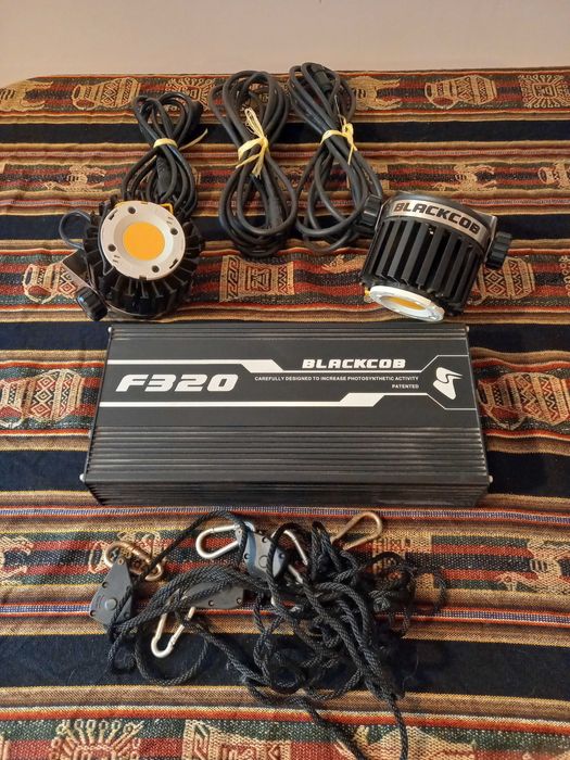 Iluminação cultivo Led Black cob